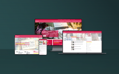 Portfolio Camara de comercio