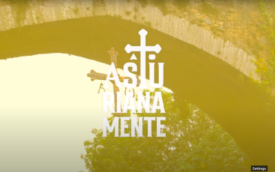 Screenshot 2023-11-22 at 13.47.58