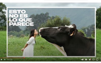 Screenshot 2025-10-20 at 18.08.34